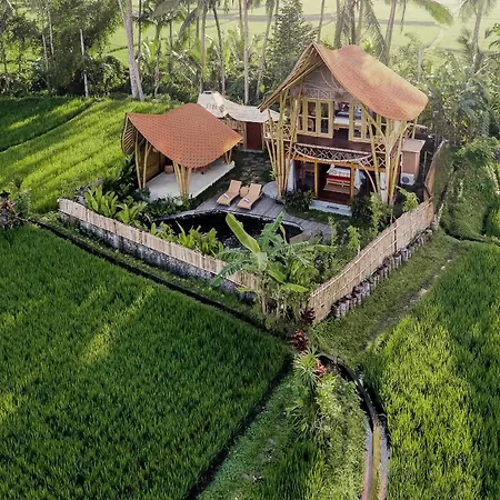 Arapan Ubud Eco Villa-2