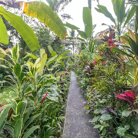 Be Bali Hut Farm Stay-3