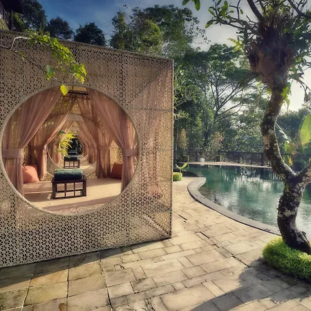 Nandini Jungle by Hanging Gardens-3