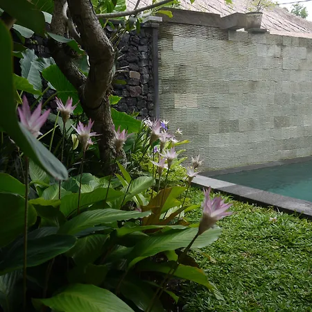 Rumah Dadong-3