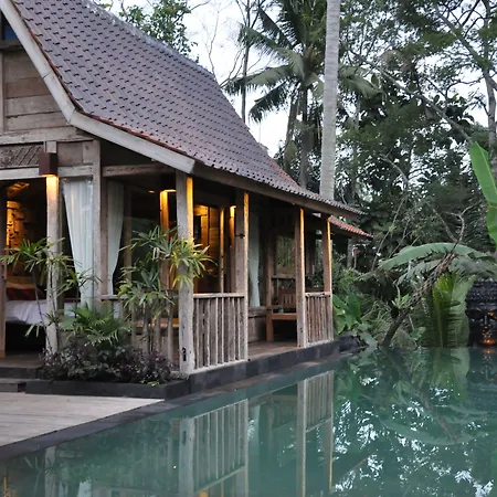 Ubud Virgin Villa-3
