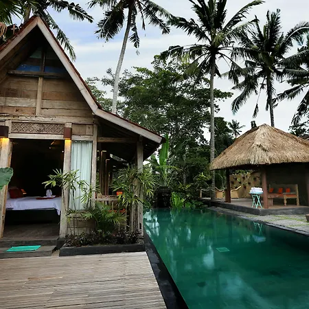 Ubud Virgin Villa-2