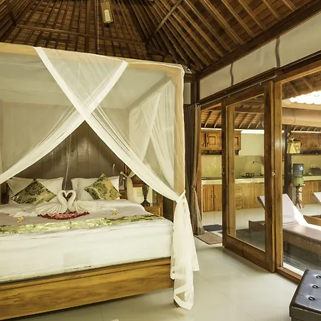 Naja Private Villa Ubud-3
