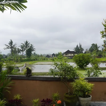Sari Bamboo Bungalows-2