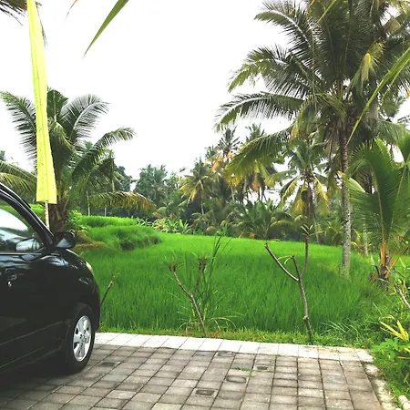 Villa Neyang-2
