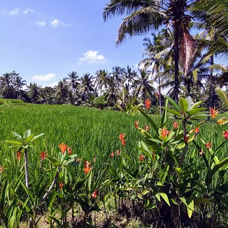 Villa Neyang-3