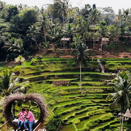 Villa Neyang-2