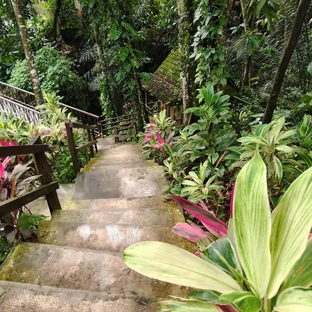 Ubud Heaven Sayan-3