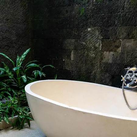 Natura Resort And Spa Ubud-2