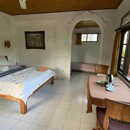 Ayu Bisma Homestay-2