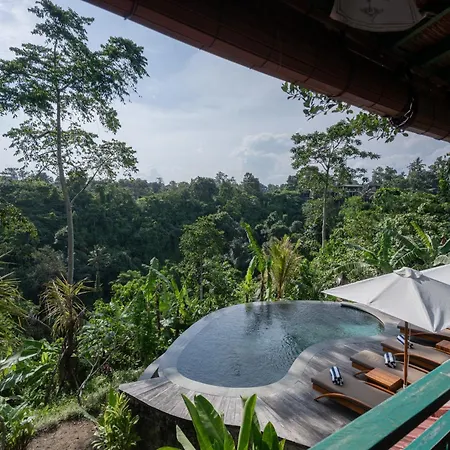 Sokwayah Jungle Villas & Retreat-3