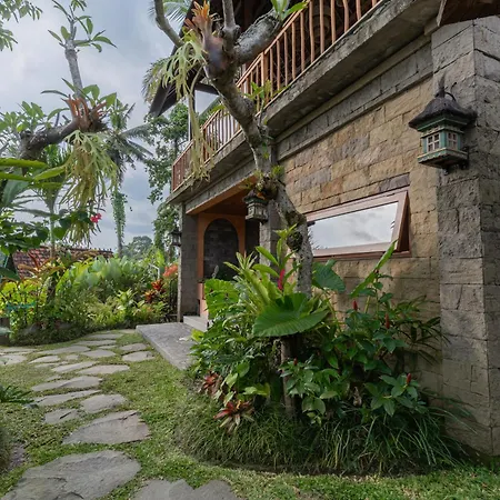 Sokwayah Jungle Villas & Retreat-2