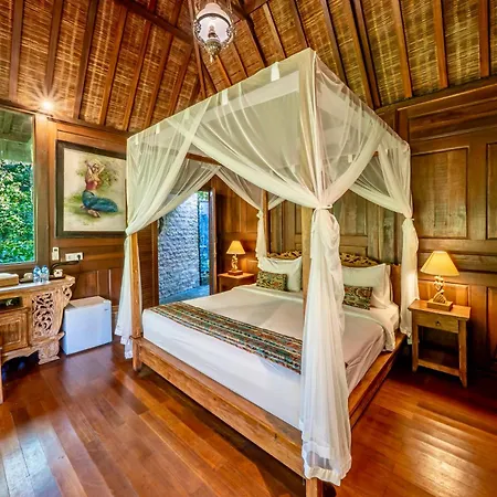 The Jungle Villa-2