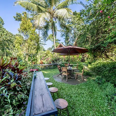 The Jungle Villa-3