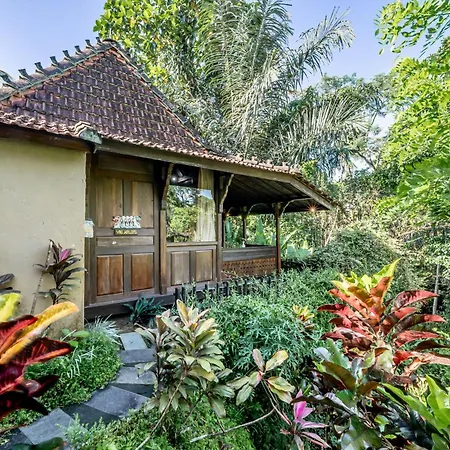 The Jungle Villa-3