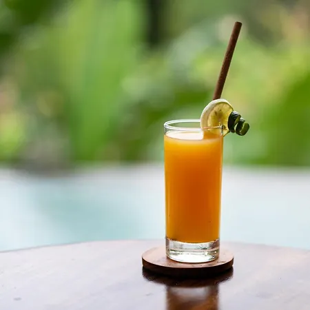 Govala Ubud Villas & Spa-3