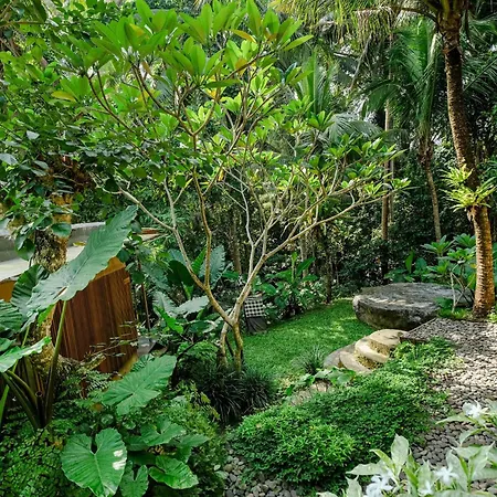 Ubud Jungle Stay - Mahari By Wahm-3