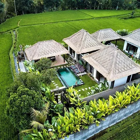 Three Gold Luxury Private Villas-2