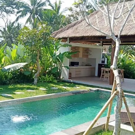 Three Gold Luxury Private Villas-2