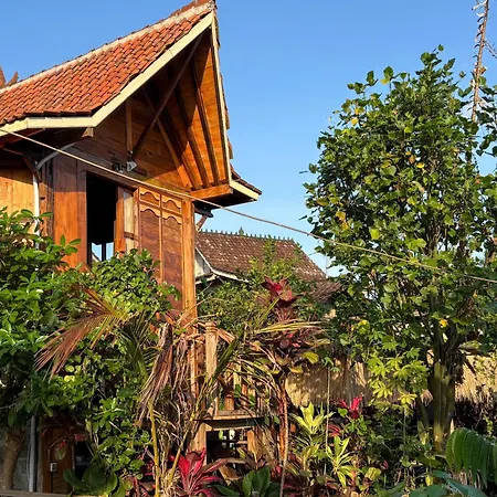 Jagadhita Villas Ubud Bali-3