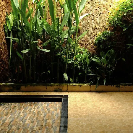 Prama House-3