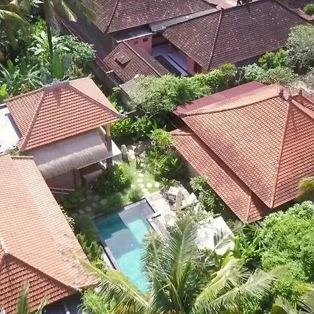 Kailash Bali-2