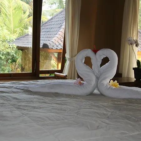 Mesari Hotel Ubud-2