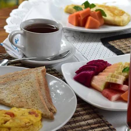 Arik'S Homestay Ubud-2