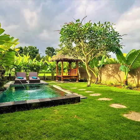 Three Gold Luxury Private Villas-3