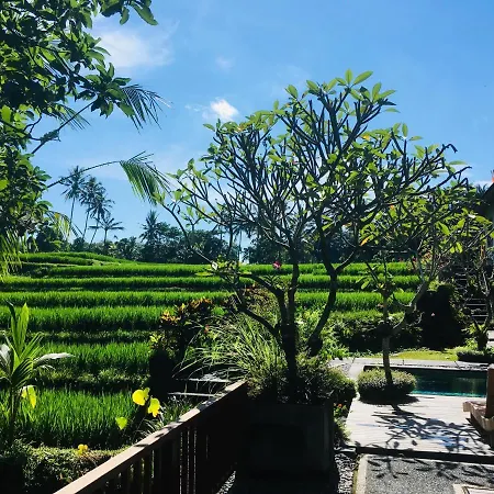 Puri Raya Villa-3
