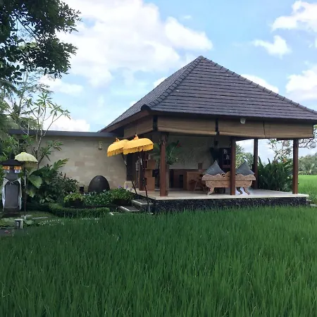 Puri Raya Villa-2