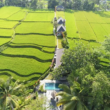 Puri Raya Villa-2