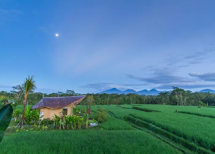 Villa Ipian Cinta By Genuinehost Ubud, Indonesien