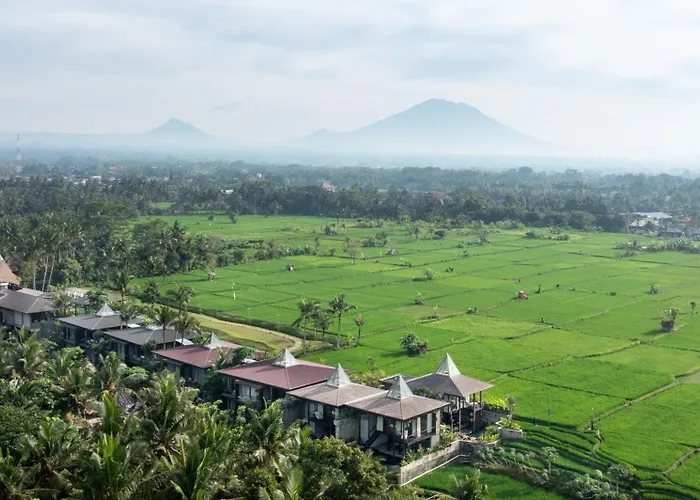 Gdas Bali Health And Wellness (Adults Only)