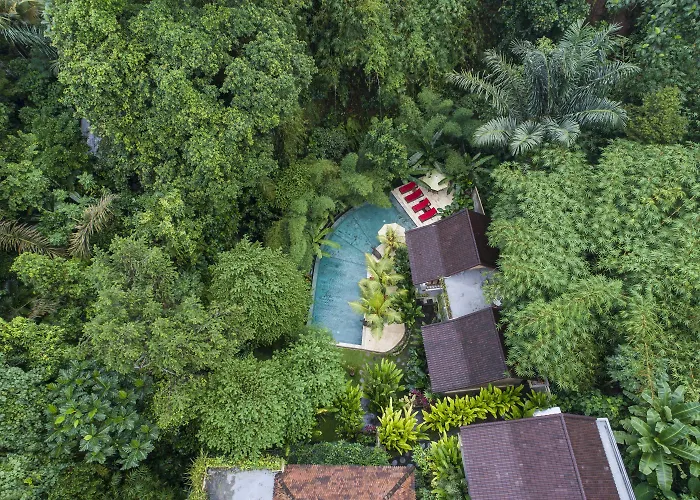 Jungle Haven Resort Central Ubud