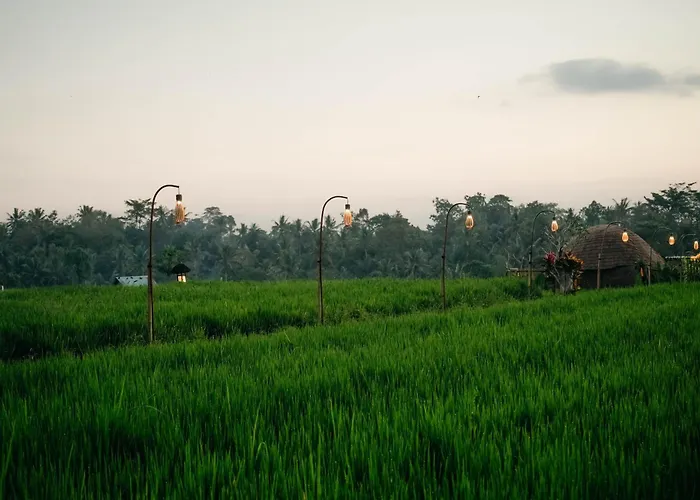 Teba Suci Suite And Villas أوبود, إندونيسيا