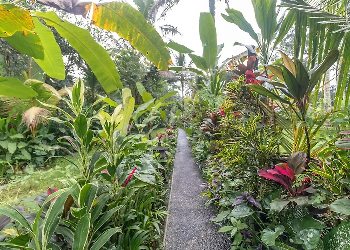Be Bali Hut Farm Stay