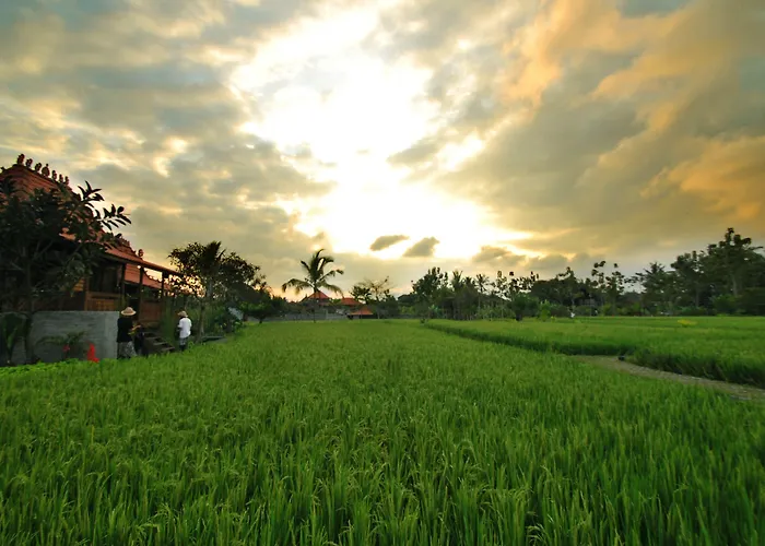 Kajane Yangloni At Ubud Bali