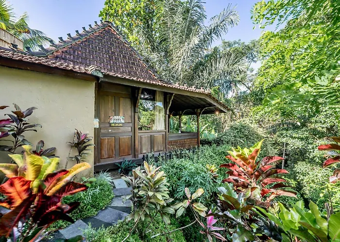 The Jungle Villa